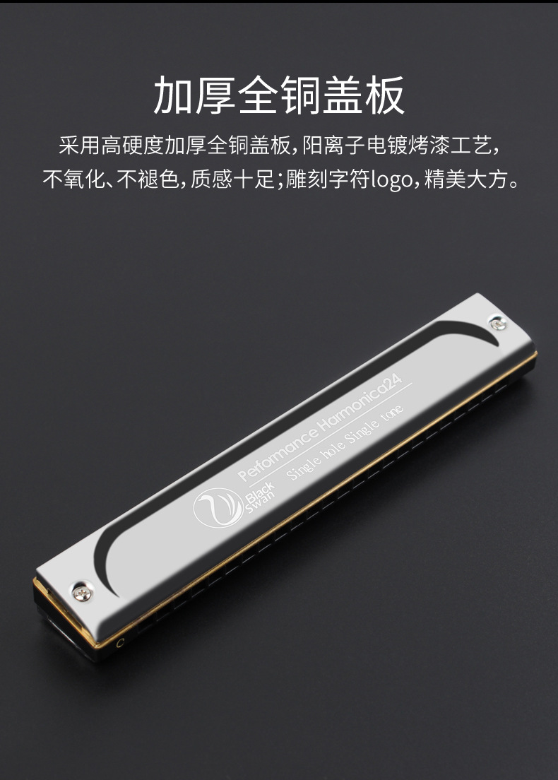 天鹅单音口琴24孔单排单孔c调学生成人初学入门专业演奏级口琴