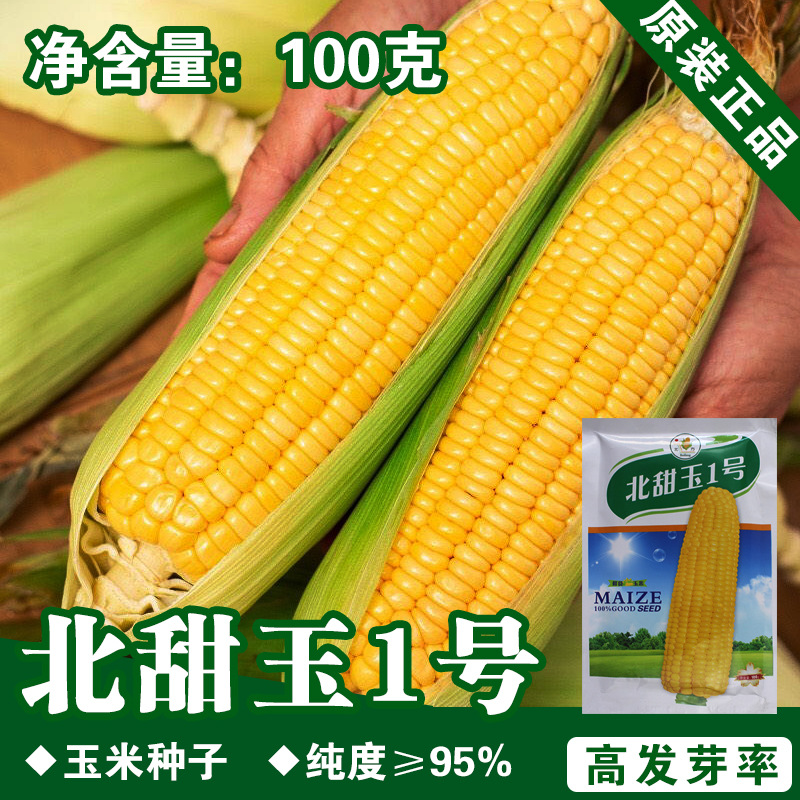 0成交2件中研盛优甜玉196水果玉米种子皮薄无渣棒子苞米基地农田菜园