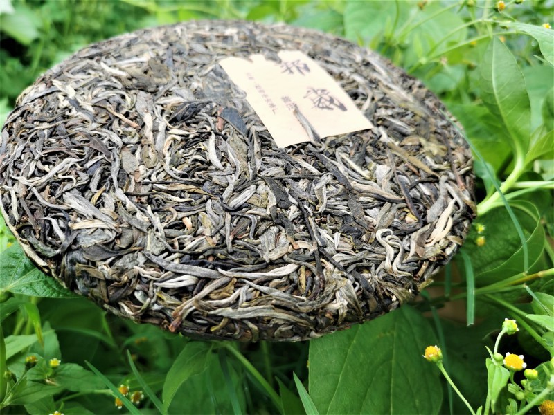 邦崴古树茶叶 头春云南纯料生普洱 大树普洱茶饼源产地厂家直销