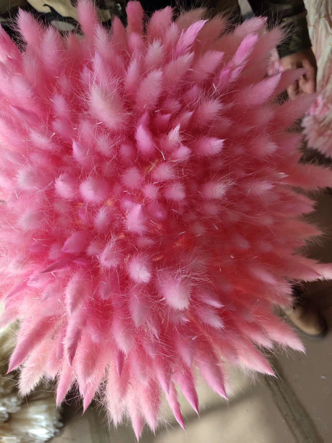 兔尾草干花花束家花材花环装饰品