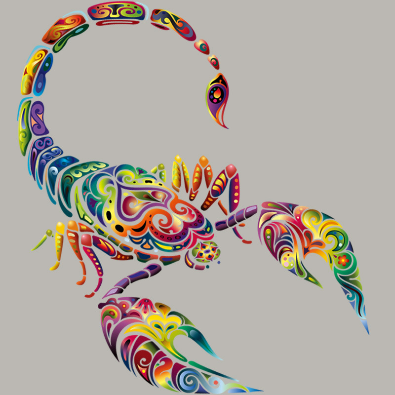 烫画厂家高清图案烫画烫图 个性五彩缤纷蝎子热转印烫图高弹环保