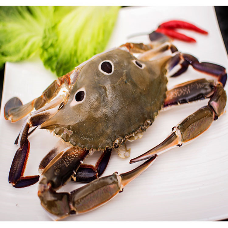 三点蟹公蟹 三眼蟹 三目蟹 200/300规格 蟹肉饱满 厂家批发