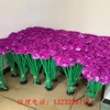 wholesale Various Artificial Plants Stainless steel led Peony Lantern Park Lawn Luminous cloth rose Inserted lights