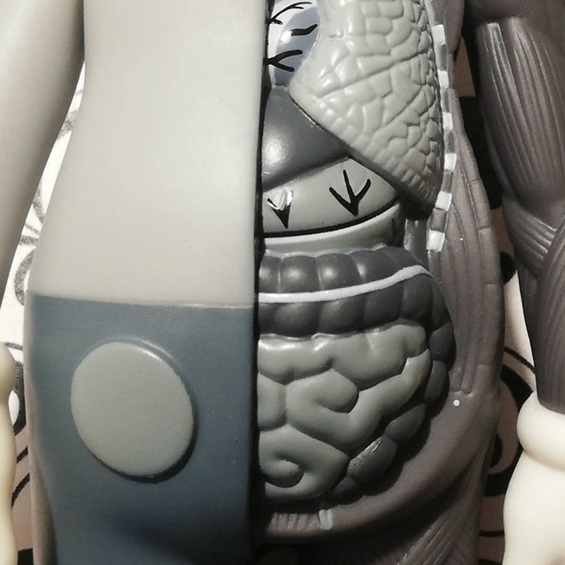 现货 潮玩 kaws公仔8寸解剖玩偶 模型 手办 玩具 彩盒装摆件礼品