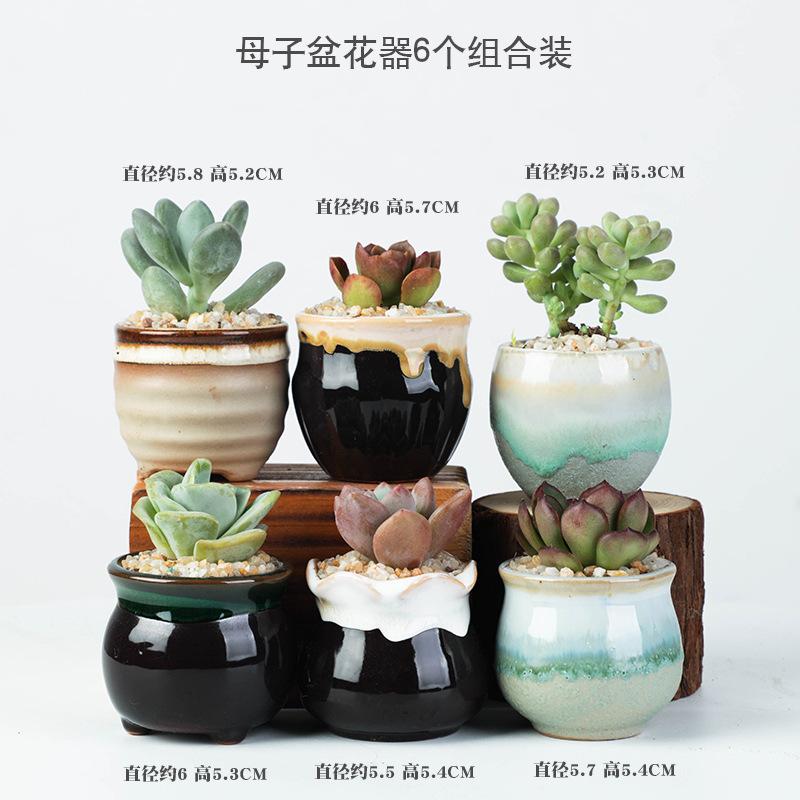 Suopin Foreign Trade Export Flower Pot Cross-Border E-Commerce Exclusive Nordic Flower Pot Cartoon Succulent Pot with Packaging Flower Pot