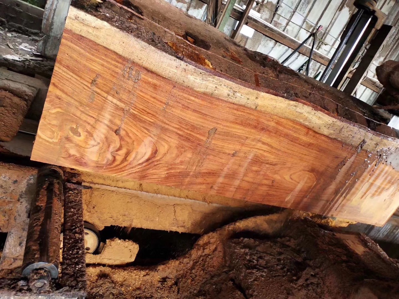 进口 原木 南美花梨 板材 贾托巴 栾叶苏木 纹理清晰 价格优惠