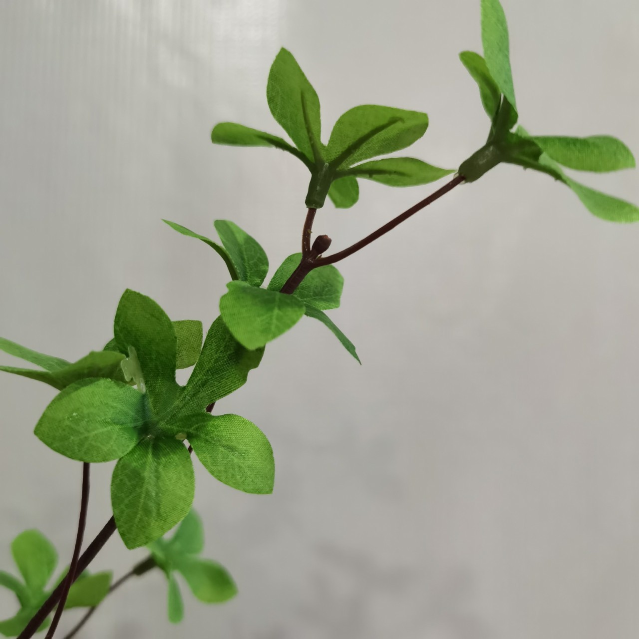 日本吊钟马醉木2叉日本多瓣叶新中式家居酒店样板间插花装饰叶材