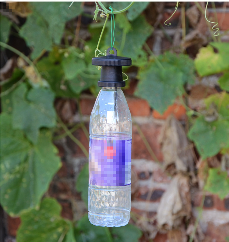 果蝇诱捕器果实蝇捕抓捉容器瓜果蔬菜花卉防虫诱虫性诱剂药水针蜂