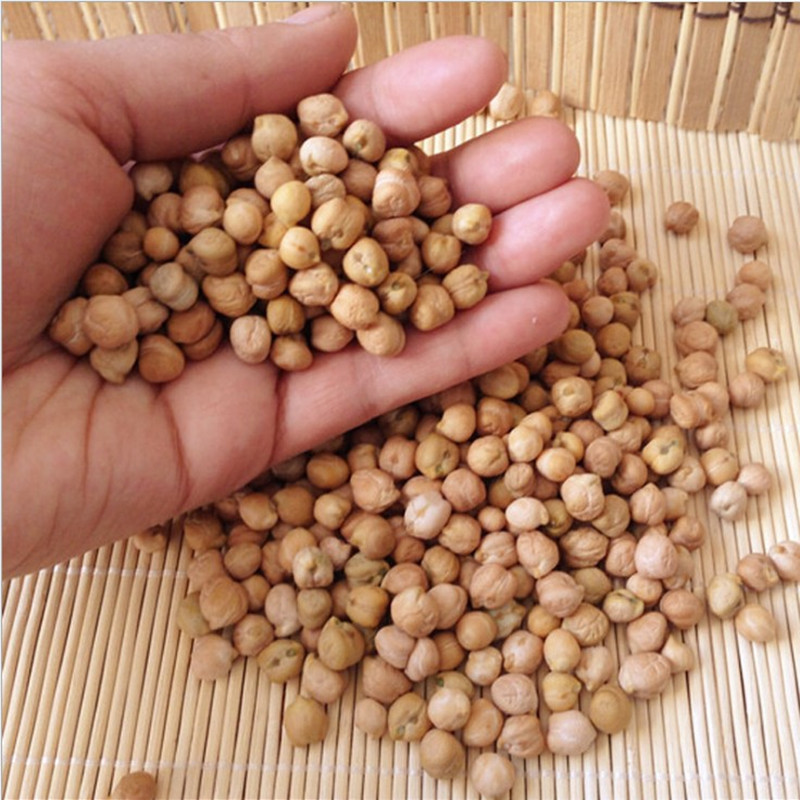 云南天麻子批发 鹰嘴豆厂家直供 新货鹰嘴豆批发江湖地摊展会