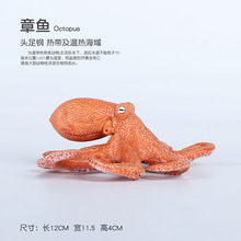 外贸新款八爪鱼海洋生物模型仿真章鱼实心乌贼海底总动员玩具摆件