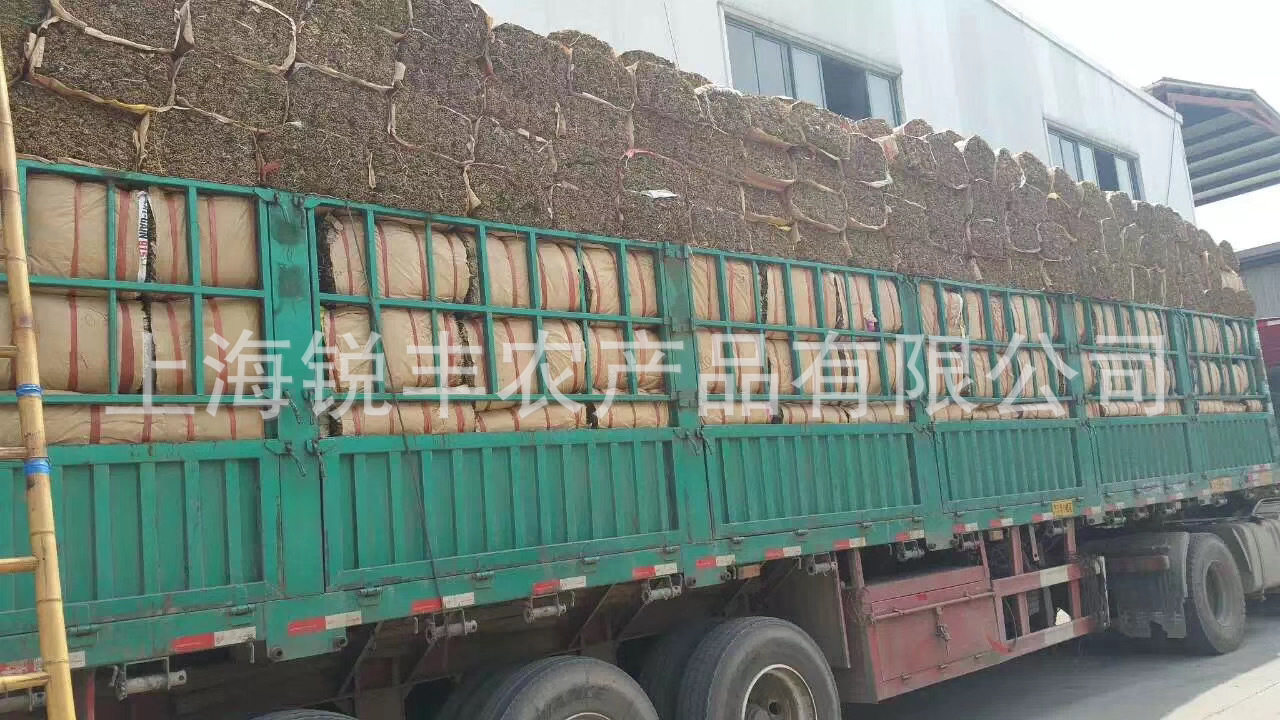 上海林丰粽叶是江浙沪地区拥有各种规格粽叶的一家专业收购,加工集