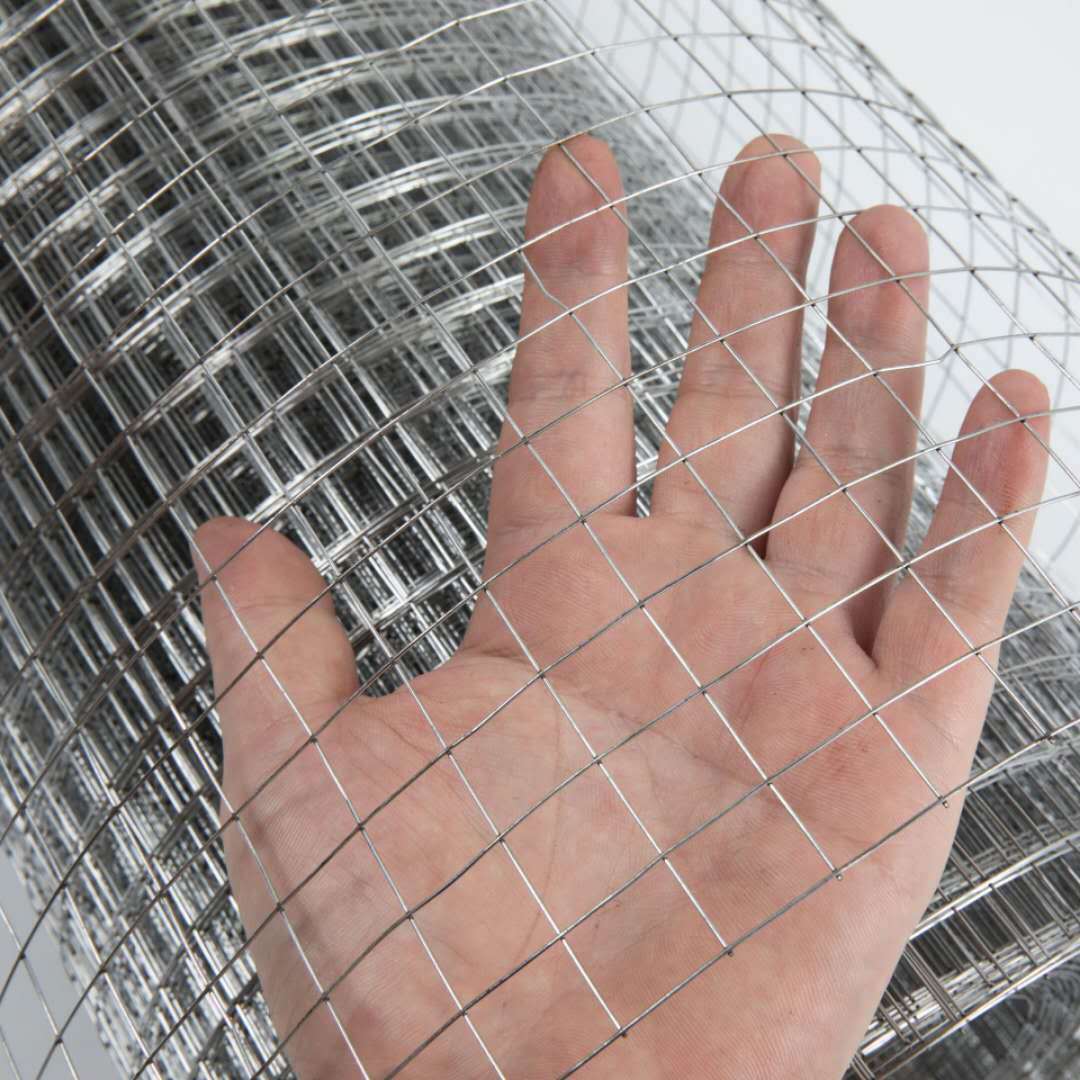 厂家供应镀锌钢丝网过滤筛网镀锌电焊网内外墙建筑抹灰防裂网