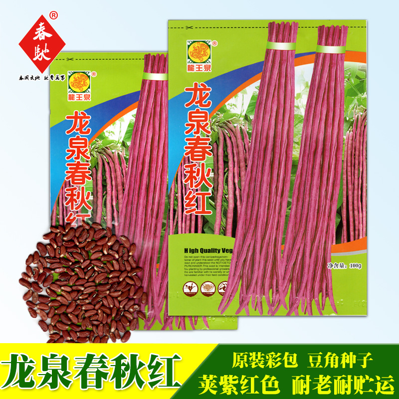 龙泉春秋红豆角种子 100g 紫红架豆 红豇豆种籽 菜园基地蔬菜种籽