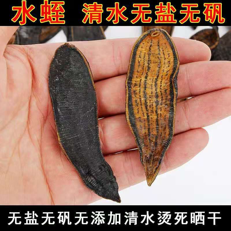 批发中药材水蛭 水蛭干 清水水蛭 承接大货 水蛭干