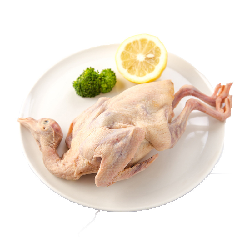 上海老杜崇明老鸽乳鸽400g 肉鸽子新鲜鸽肉生鲜厨房好食材