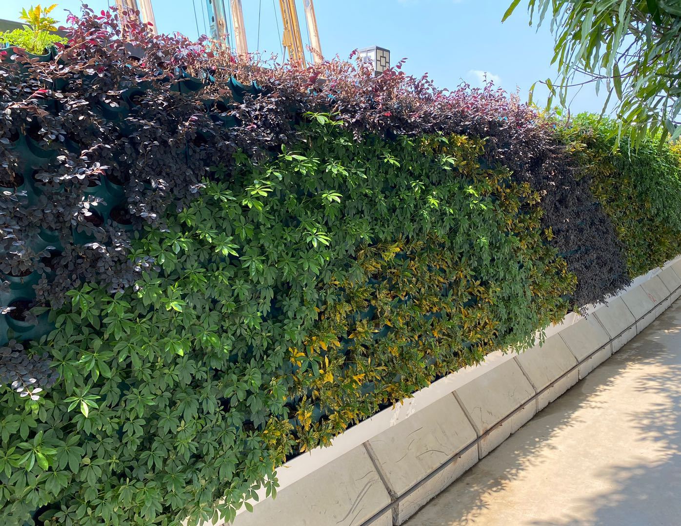 草皮绿植围挡使用注意事项有哪些? - 阿里巴巴商友圈