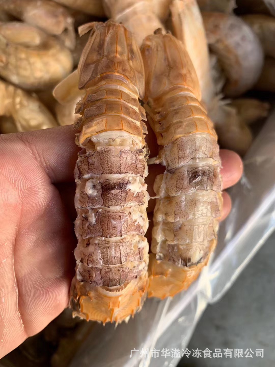 单冻皮皮虾 熟冻濑尿虾 带冰衣10斤/件 中餐夜宵店食材熟冻皮皮虾