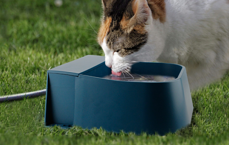 宠物碗浮球式自动蓄水饮水器牛羊马狗宠物用品饮水器狗碗源头厂家