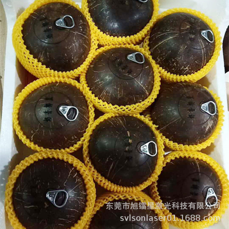 黑椰老椰子易拉罐拉环椰皇加工制作机器 白椰王装拉环专用设备厂