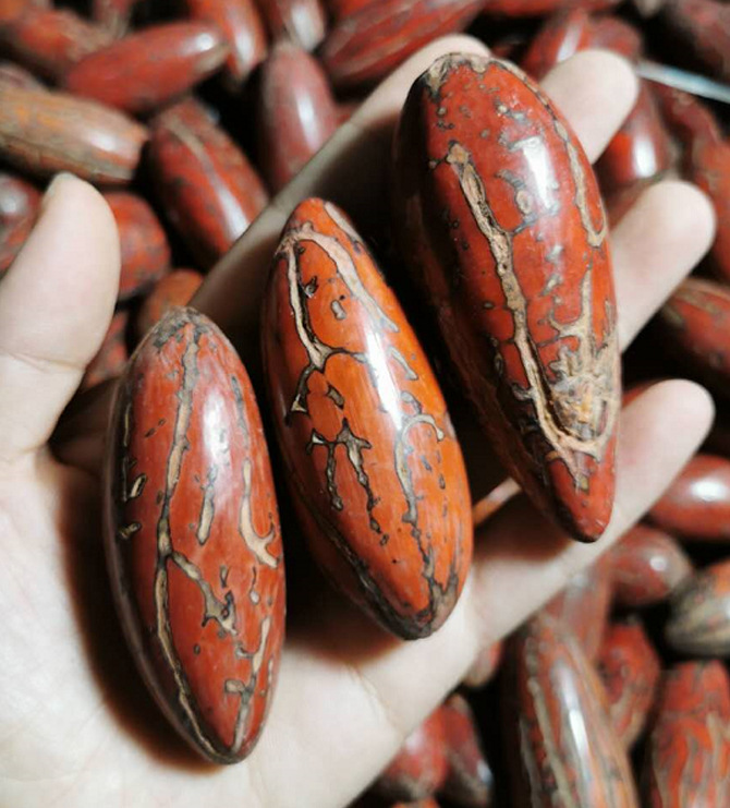 千眼菩提子手把件菩提果把玩挂件天然文玩手磨成品红色绿色黄色白