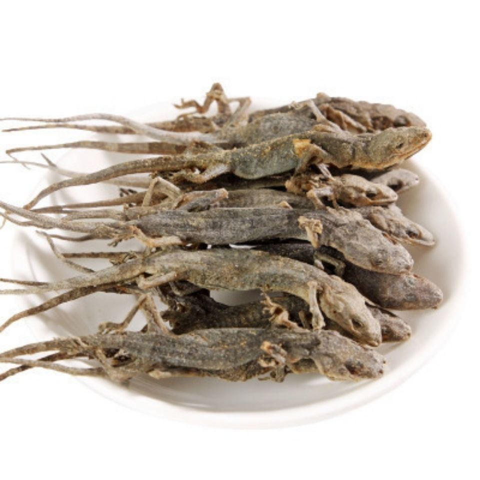 壁虎壁虎天龙国产壁虎干完整足够干可打粉50克包邮