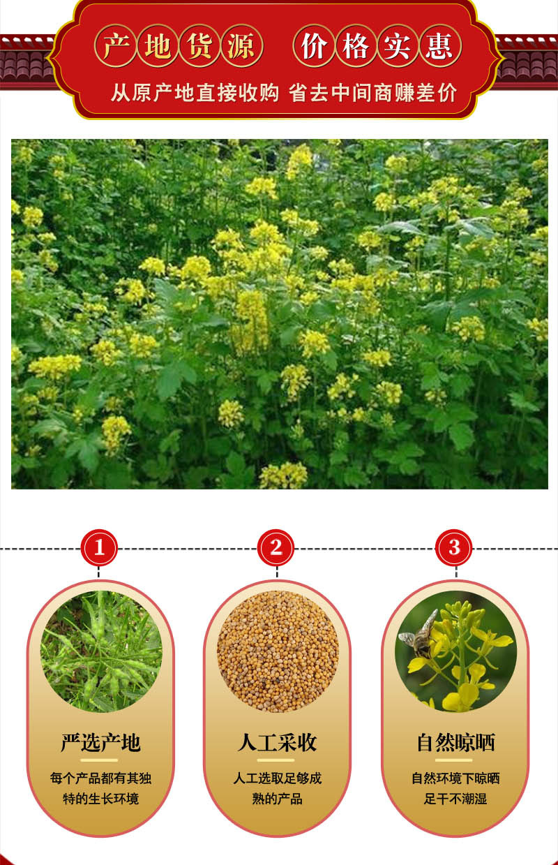 中药材批发白芥子干净无杂四川黄芥子 优质无硫 资质齐全 代磨粉