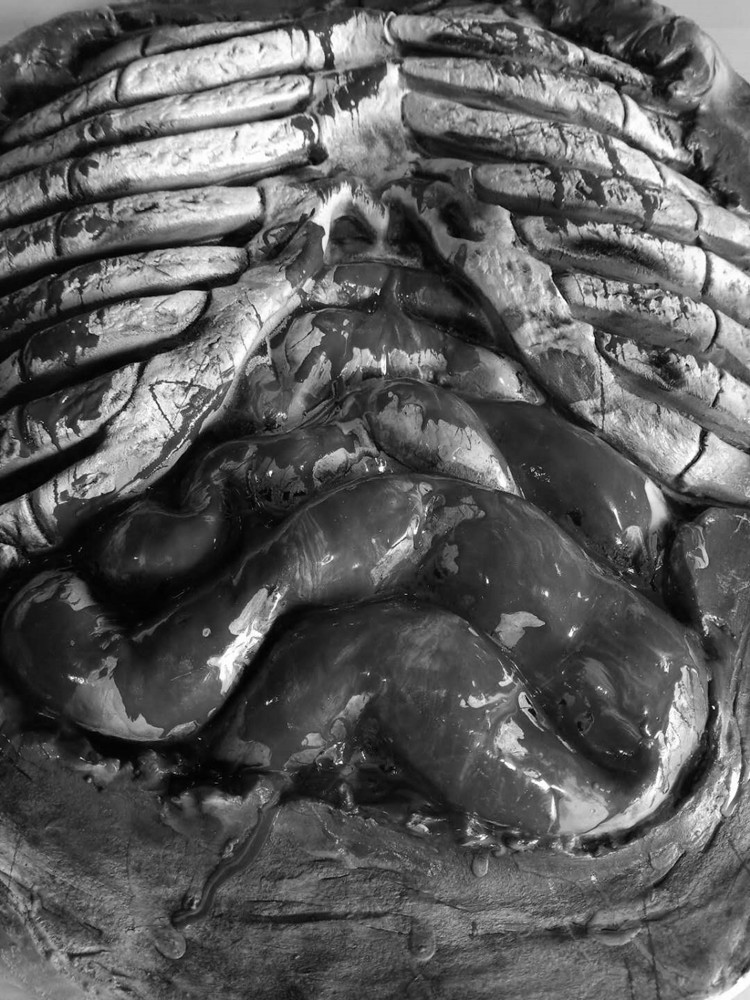 万圣节恐怖鬼屋密室道具 人体肋骨内脏整蛊道具胃肝大肠子血腥尸