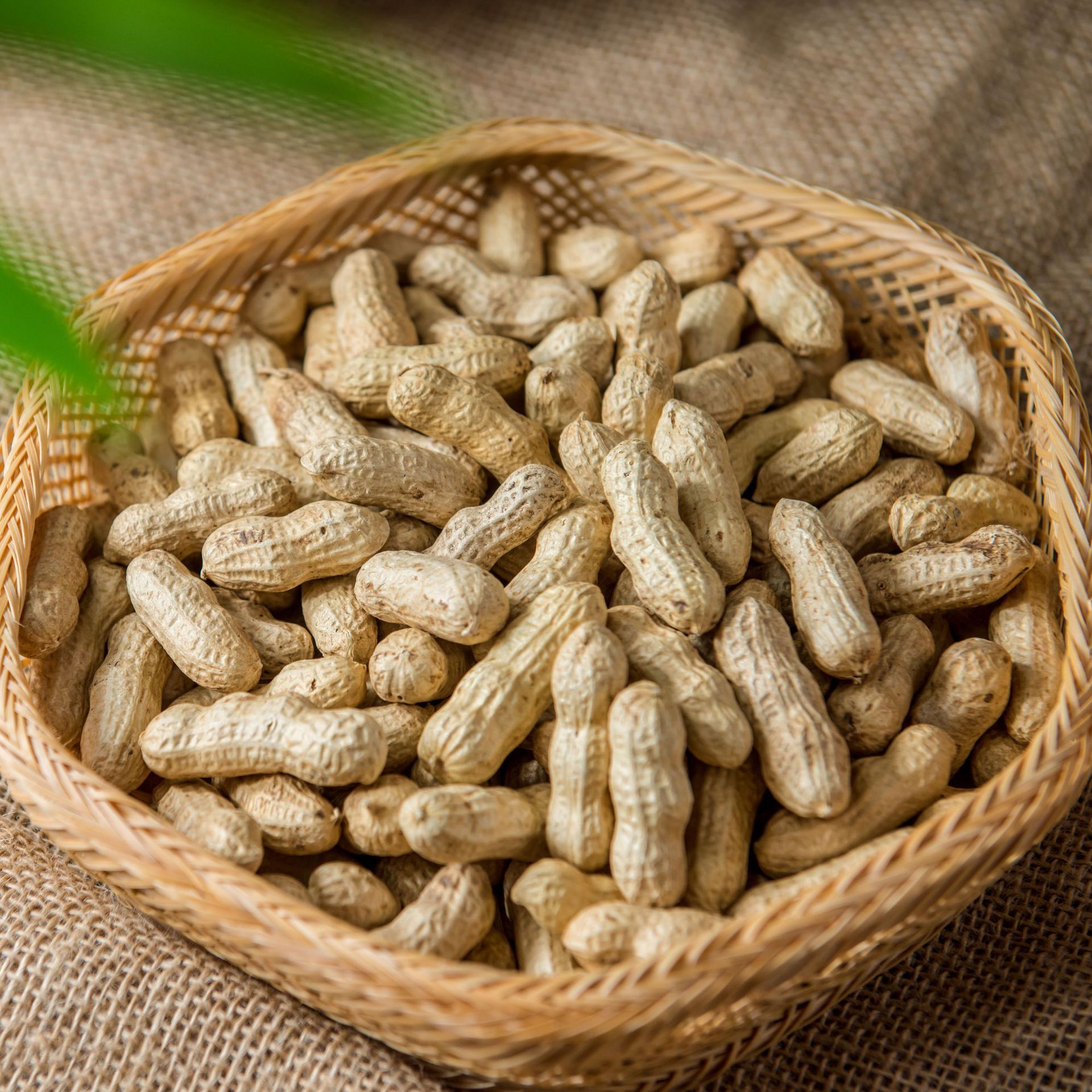 新货5斤装东北花生 山东花生 带壳花生 带壳生花生 带壳花鲁