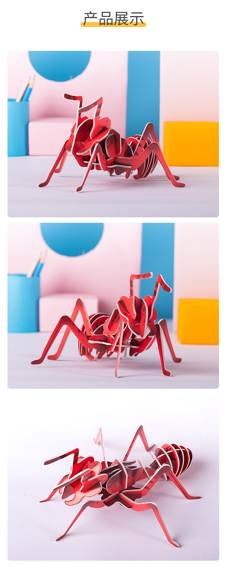 昆虫模型制作方法科学图片