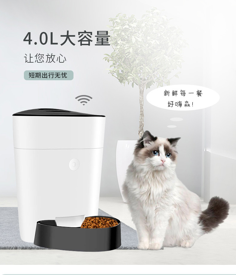 4L Pet Smart Button Edition Feeder Timing Quantitative Cat and Dog Automatic Pet Feeder Feeder Feeding Machine