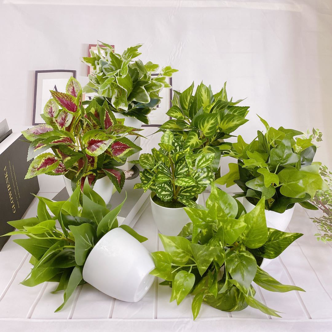 仿真植物假植物绿植室内外装饰塑料盆栽假绿萝小盆栽 ins桌面装饰