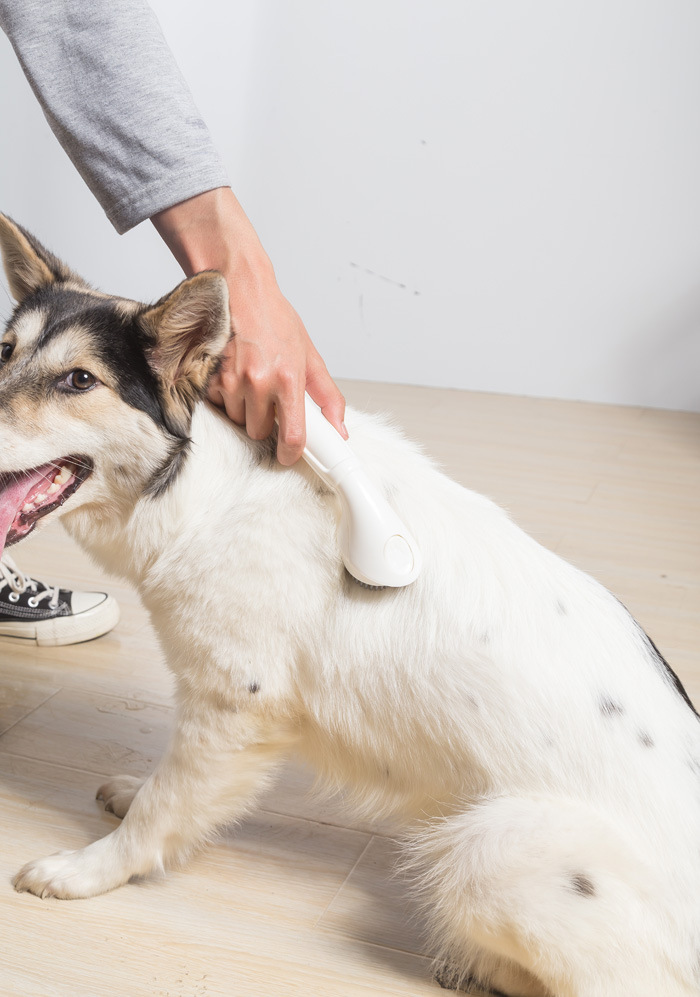 宠物洗澡按摩刷 狗狗洗澡按摩梳 清洁美容工具 除毛刷洗澡刷