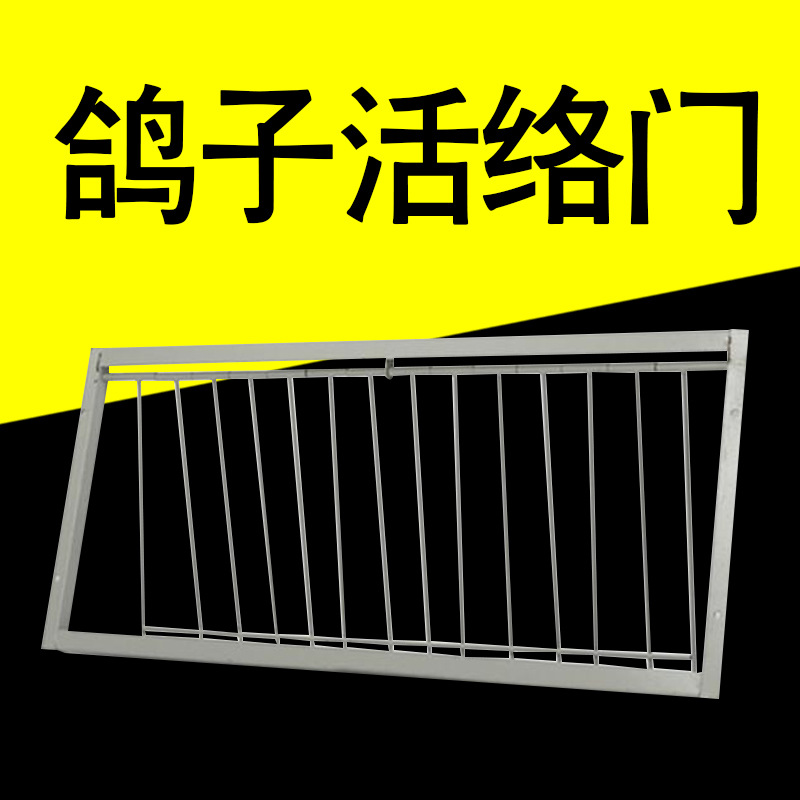 鸽子用品鸽子跳笼门 碰门撞门 信鸽撞笼门赛鸽活络门 活动门