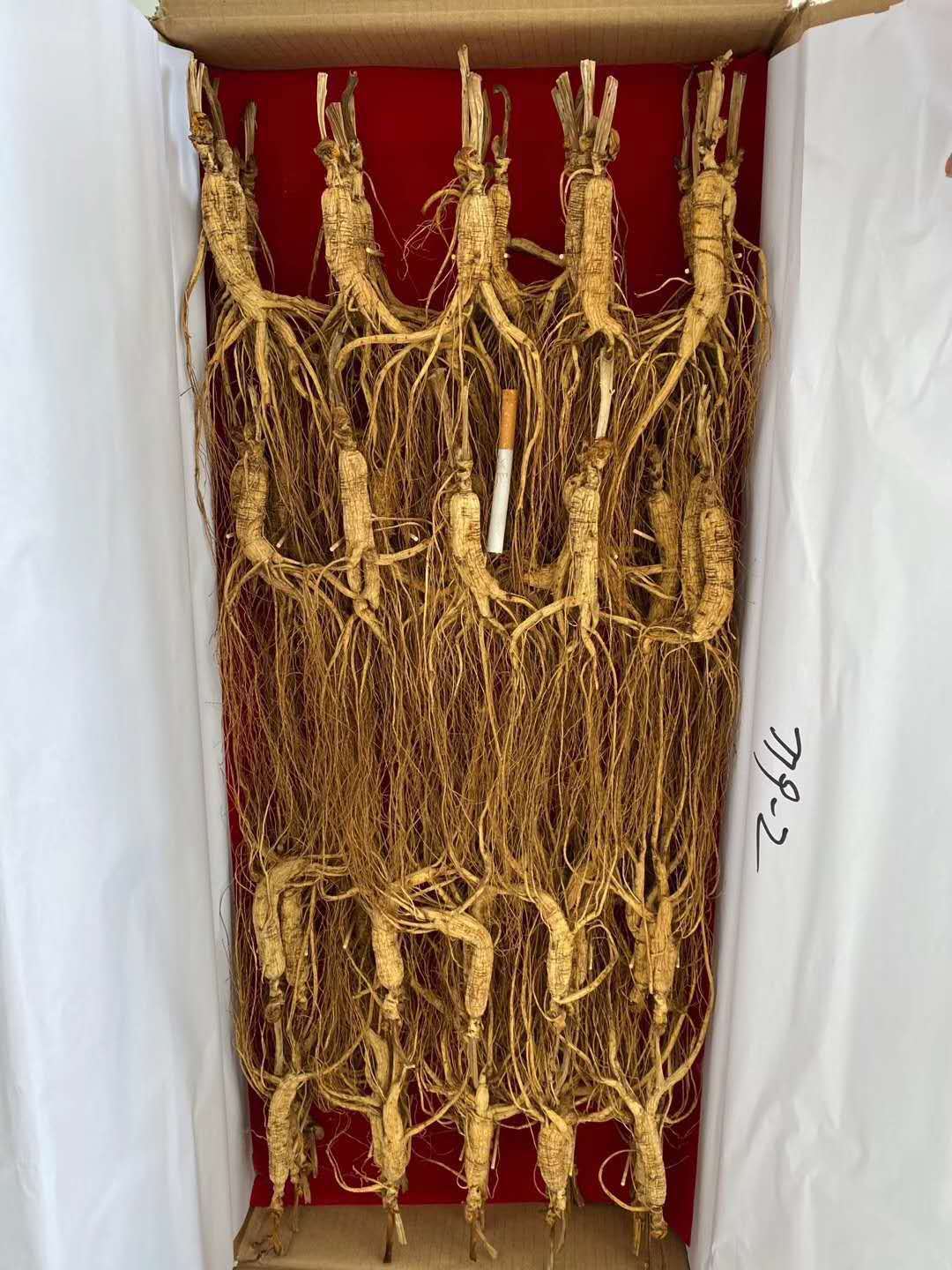 林下参 人参 移山参 长白山人参 泡酒人参 整箱100支批发参地直供