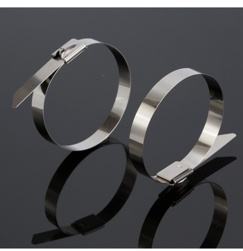 牙型扣不锈钢扎带 交通标志牌广告牌捆绑带