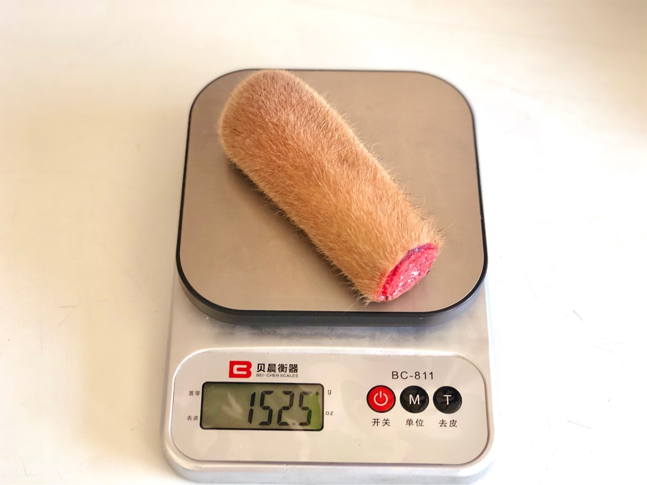 2020年新鲜梅花鹿毛桃鹿茸 精品鹿茸 头茬二杠 鲜嫩 含血量充足