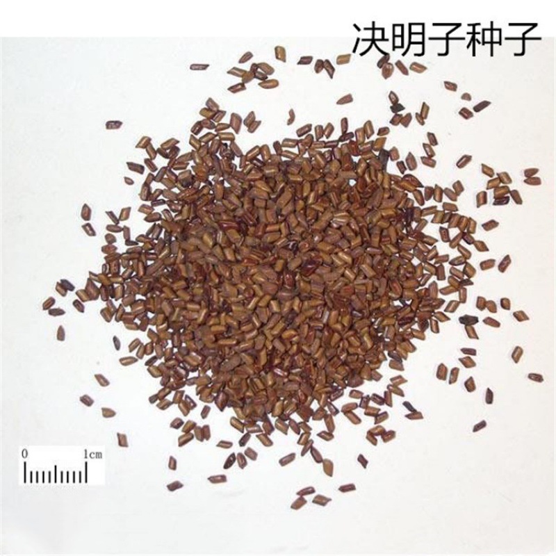 批发决明子种子 假豆 优质入药种植中草药材 特菜 草决明种子包邮