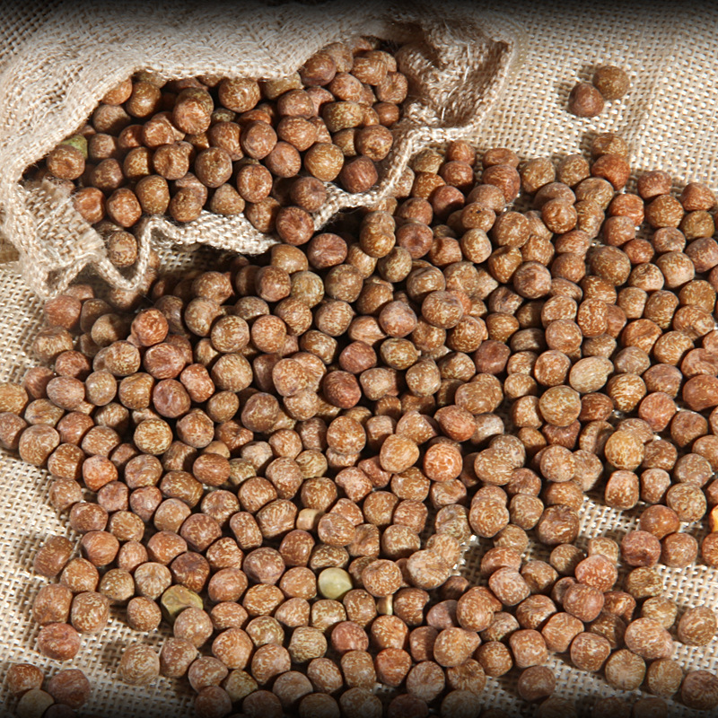 发芽麻豌豆加拿大1号水培豌豆苗龙须菜 芽苗菜种子阳台种菜 500g