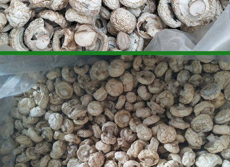口蘑干品1000克云南特产大个无根白蘑菌菇白蘑菇干货菌白蘑菇批发