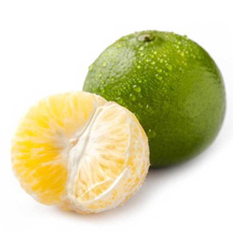 广西武鸣皇帝柑贡柑大果新鲜当季水果整箱10斤现摘桔子橘子蜜橘