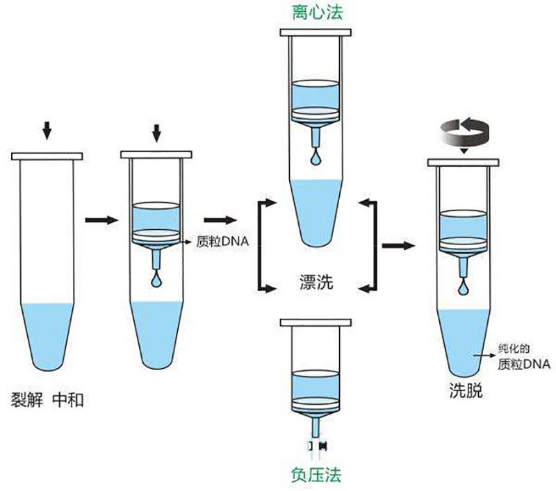 rna提取核酸纯化柱 2ml分离柱提取柱层析柱 胶回收质粒提取dna