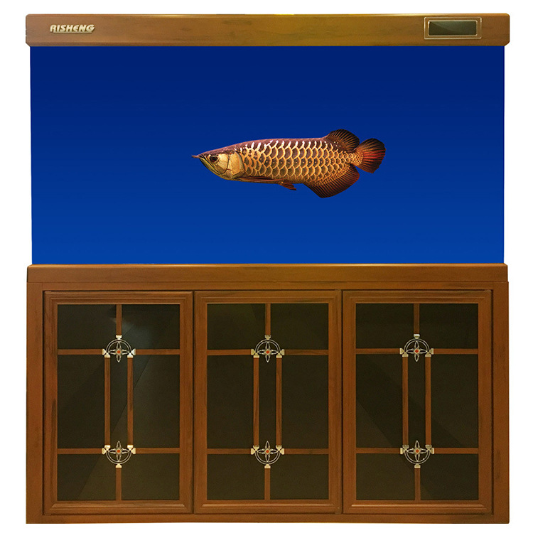 日胜be超白玻璃木纹龙鱼底滤缸客厅办公室免换水鱼缸水族箱