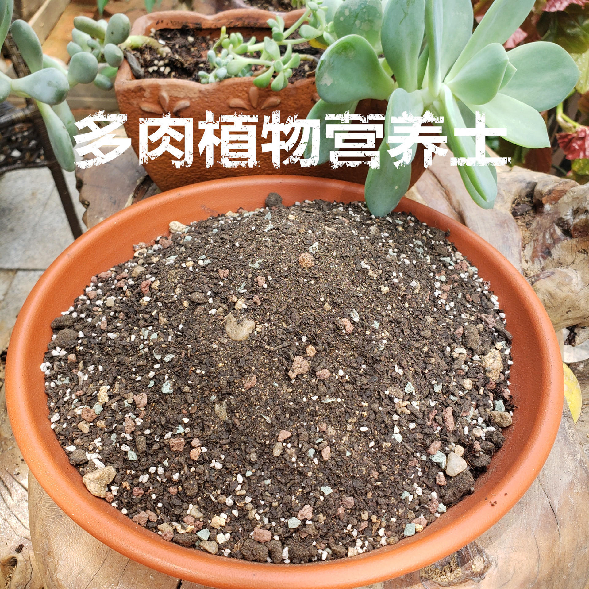 多肉土 赤玉土鹿沼土绿沸石火山石彩虹石硅藻土蛭石珍珠岩陶粒