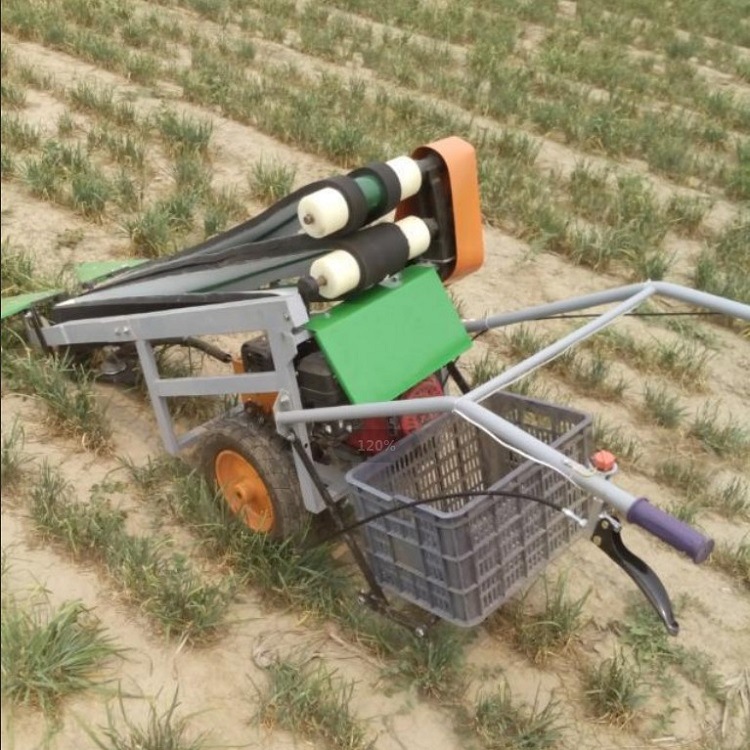 手推自走式韭菜种植基地收割机单行汽油电动韭菜收获机割韭菜设备