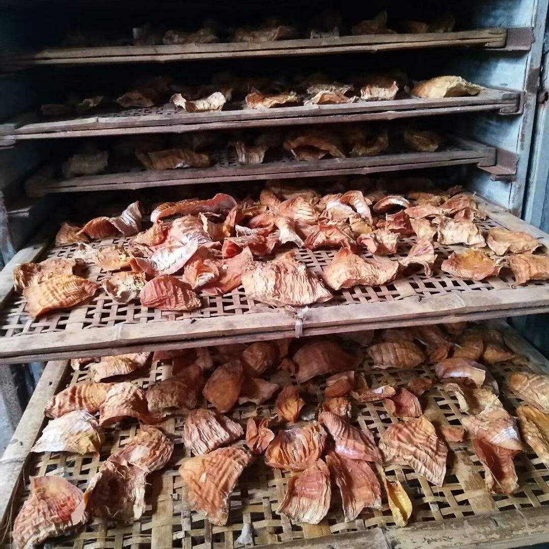 竹笋烘干机鲜笋笋干空气能春笋烘干机电加热烘干箱竹笋烘干设备