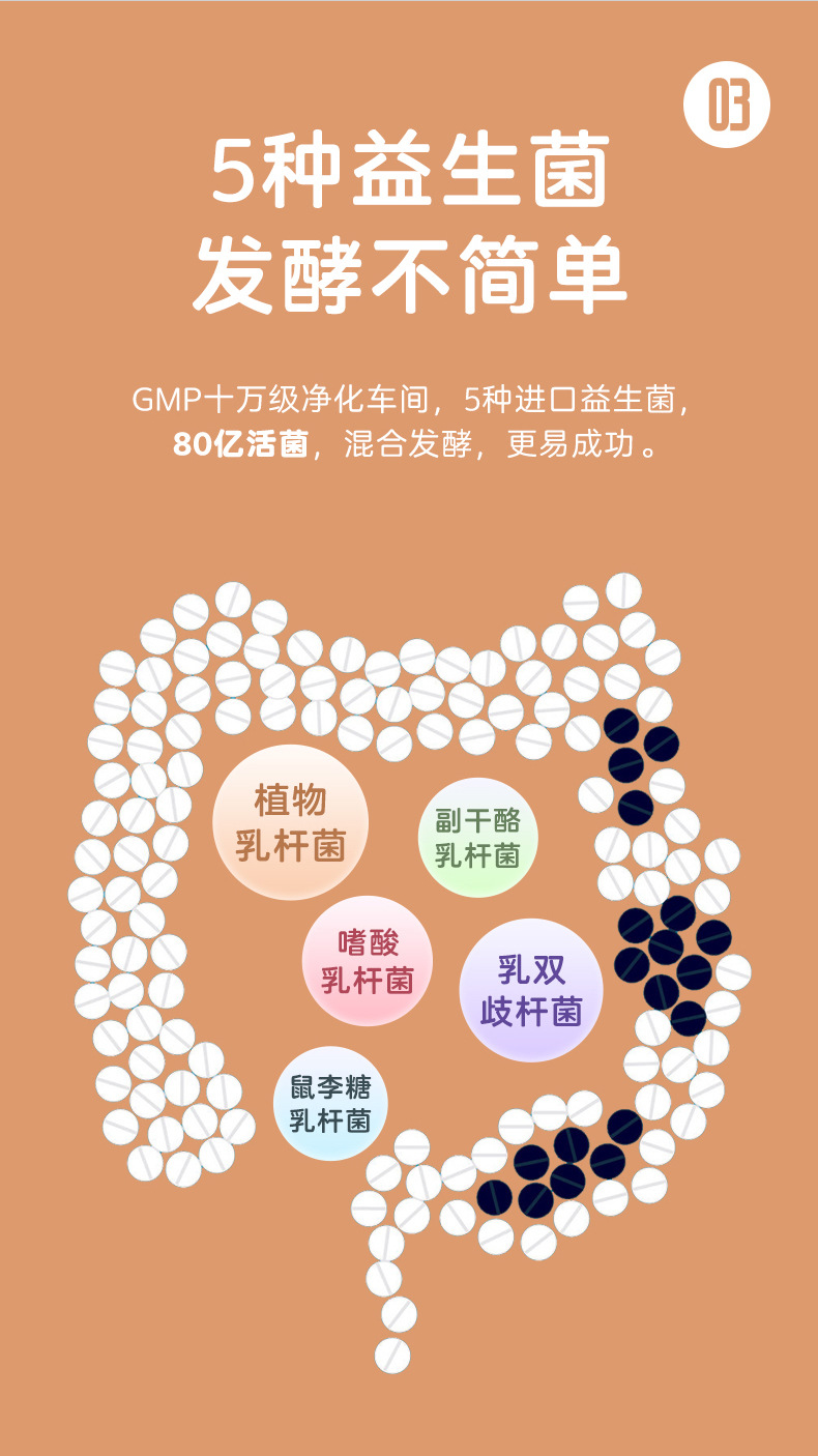 净含量: 10g菌种: 嗜酸乳杆菌 植物乳杆菌 鼠李糖乳杆菌 干酪乳杆菌