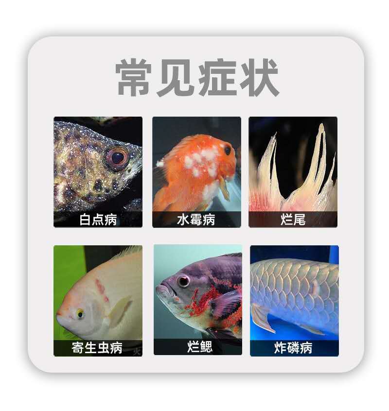 亚甲基蓝观赏鱼白点病水霉寄生虫锦鲤血鹦鹉水族专用制剂亚甲基蓝