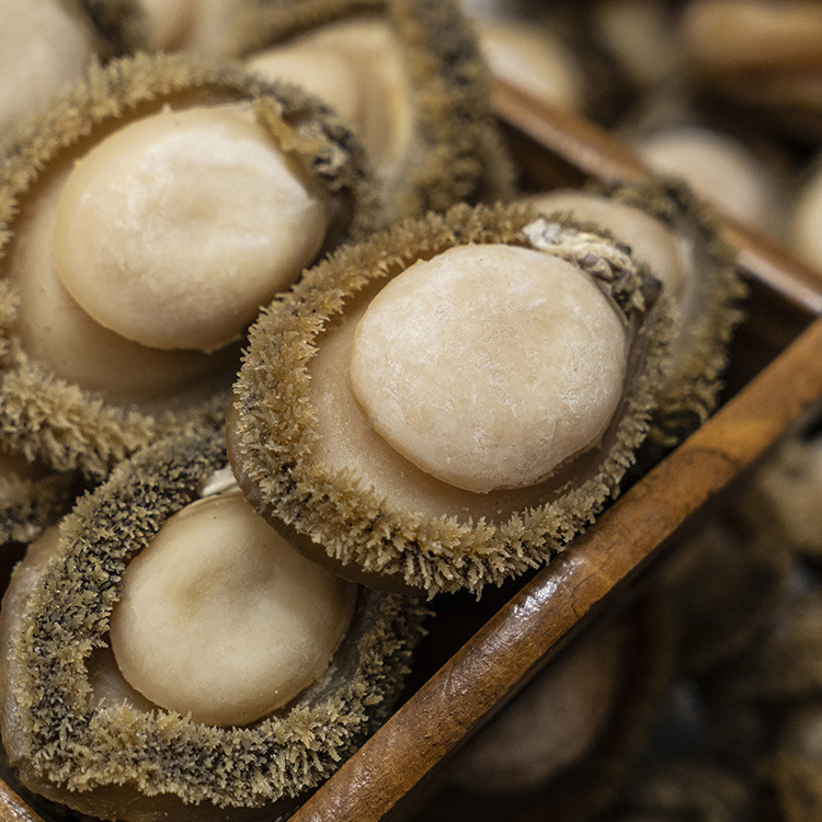 南非鲍鱼4-100头全规格溏心鲍鱼一德路海味干货滋补食材批发代发