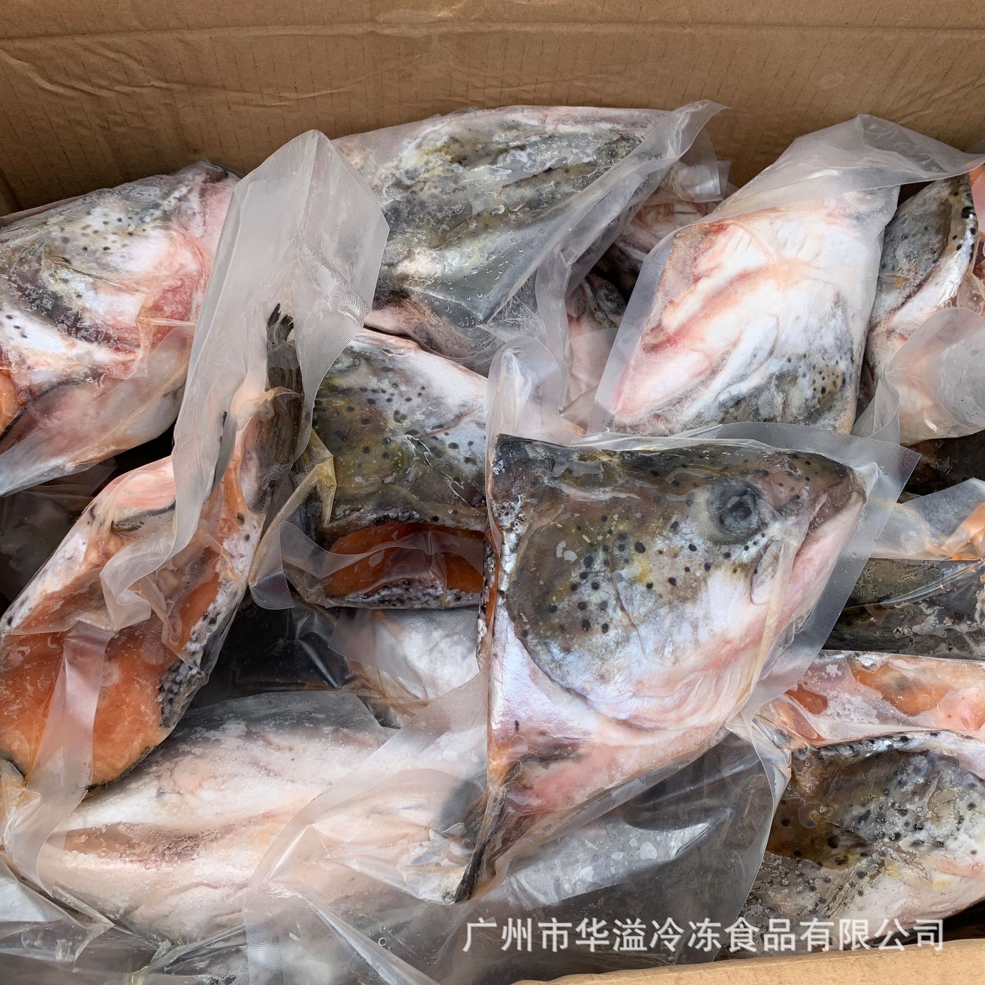 冷冻三文鱼鱼头 500克规格30斤/件 广州批发真空包装三文鱼鱼头