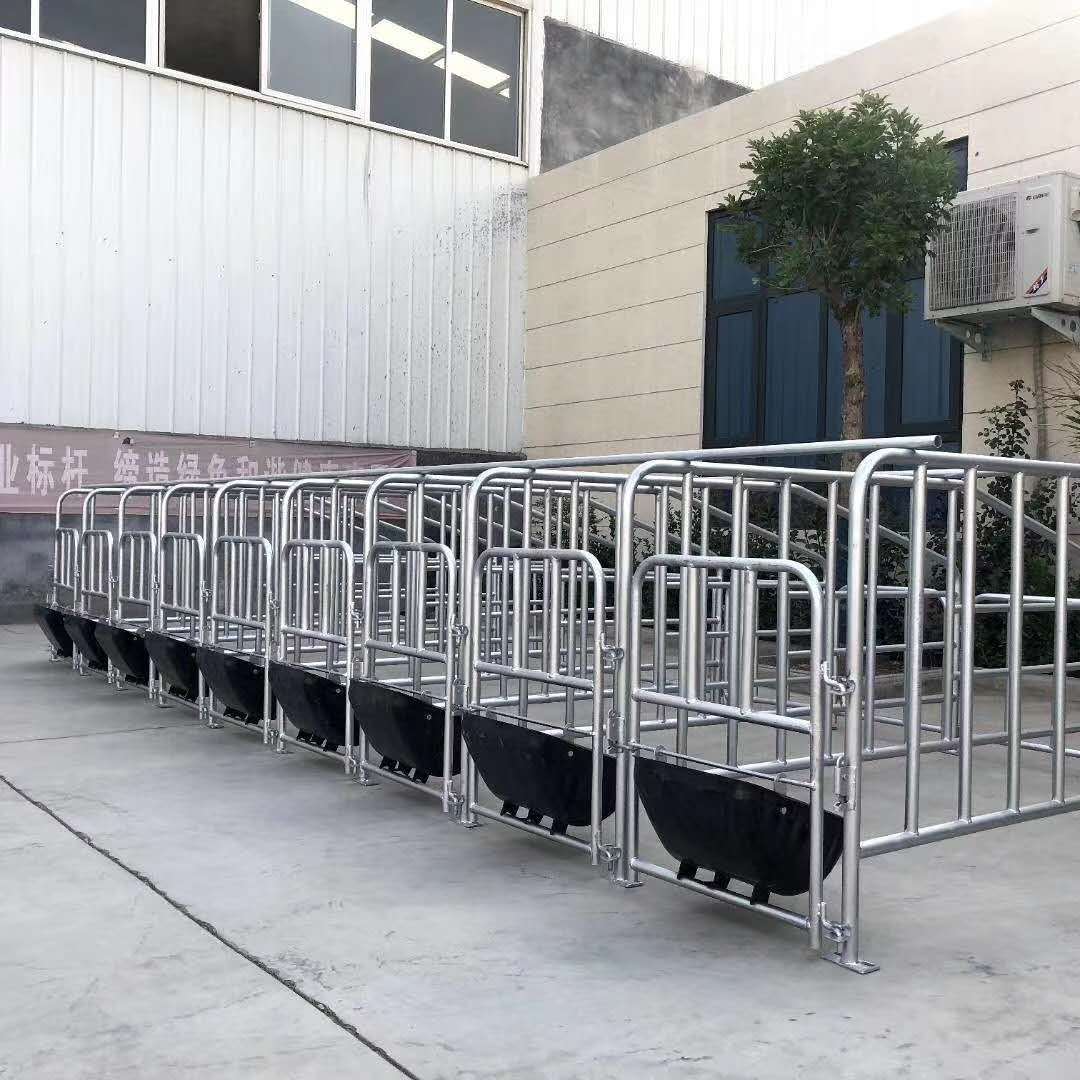 现货供应母猪定位栏 母猪限位栏 猪用复合板定位栏带槽10个一组